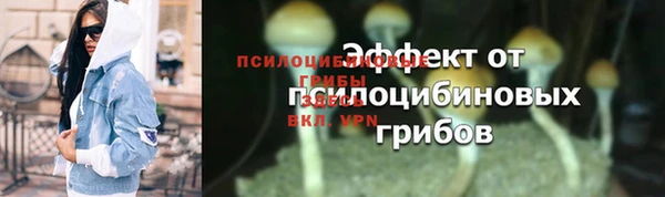 каннабис Беломорск