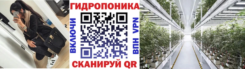 Шишки марихуана гибрид  где можно купить наркотик  Вязьма 